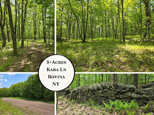 LOT25 Kara Ln, Bovina, NY 13740