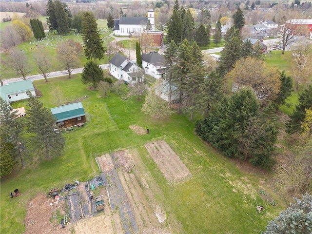 bird's eye view