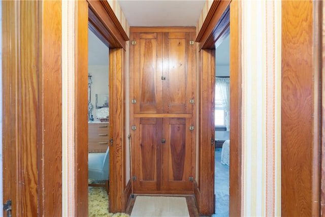 hallway with carpet flooring
