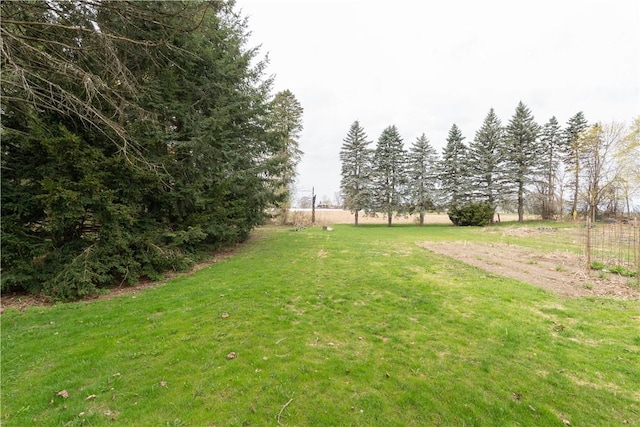 view of yard