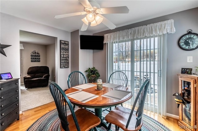 dining room with ceiling fan and light wood finished floors