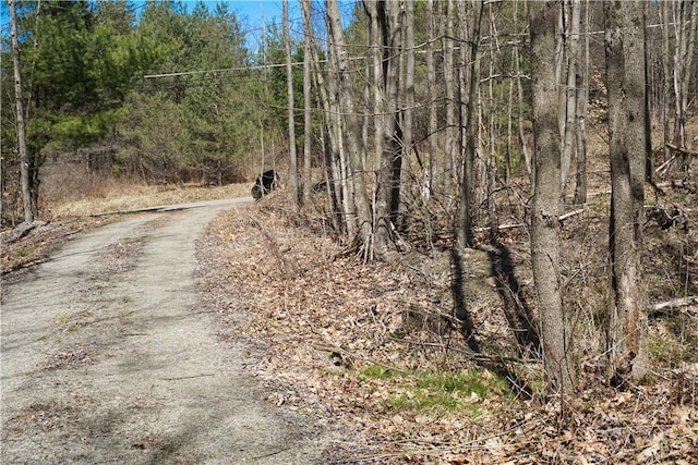 view of street featuring a wooded view