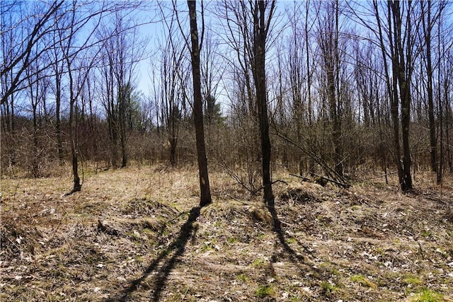 view of landscape