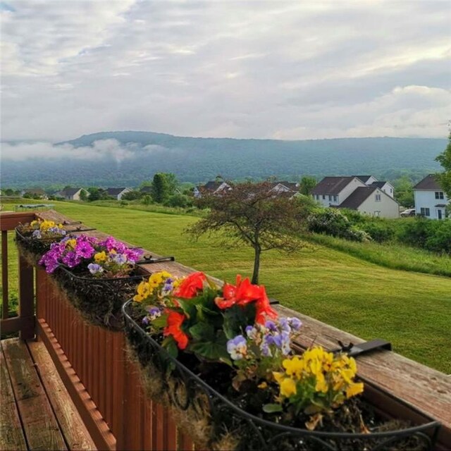 3579 Conhocton Rd, Erwin, NY 14870 - view of green lawn