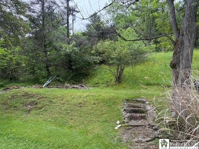 9221 Beebe Hill Rd, Cuba, NY 14727 - photo 33