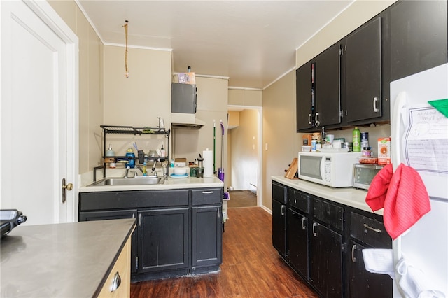 kitchen with stainless steel counters, a sink, dark cabinetry, white appliances, and dark wood finished floors
