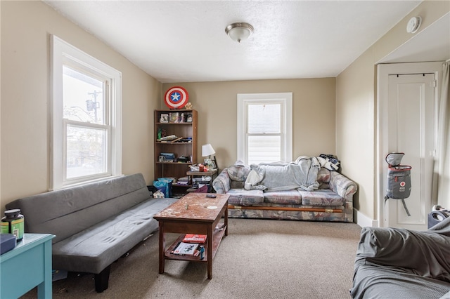living area featuring carpet flooring