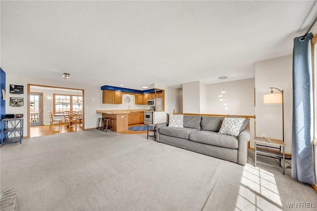 living area with a textured ceiling and light carpet