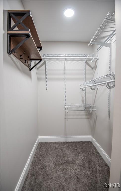 spacious closet with carpet