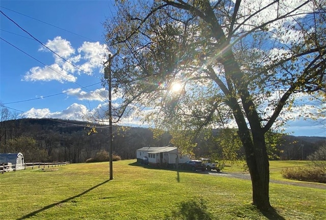 846-848 Silas Tompkins Rd, Hancock, NY 12760 - view of green lawn