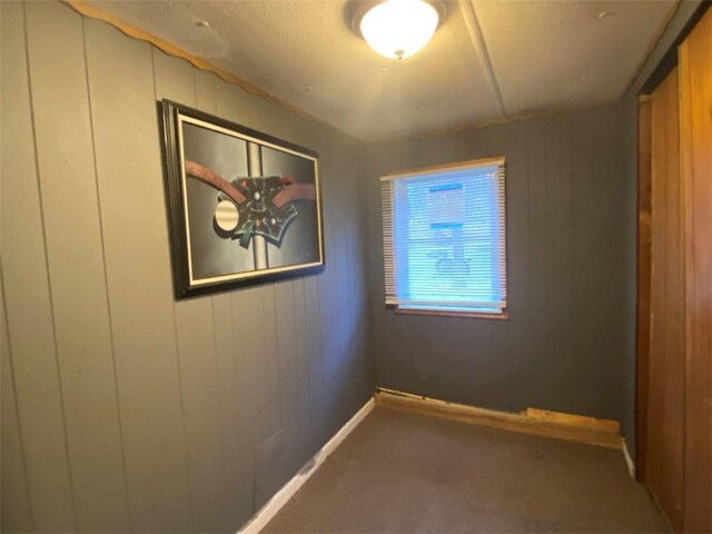 846-848 Silas Tompkins Rd, Hancock, NY 12760 - unfurnished room featuring carpet floors and wooden walls