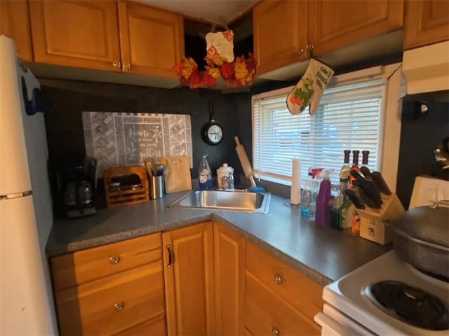 kitchen with a sink, brown cabinetry, and white appliances