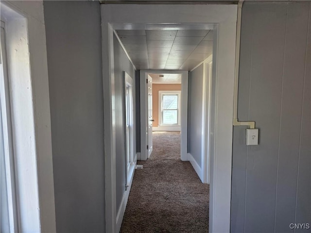 4844 Onondaga Rd, Onondaga, NY 13215 - hallway with carpet and baseboards