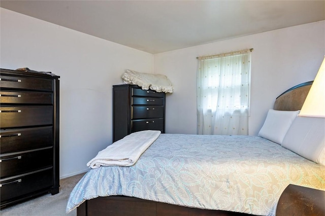 bedroom with carpet floors