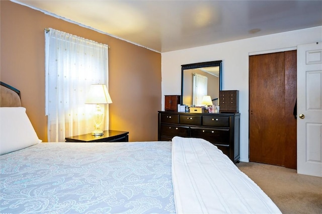 bedroom with carpet flooring