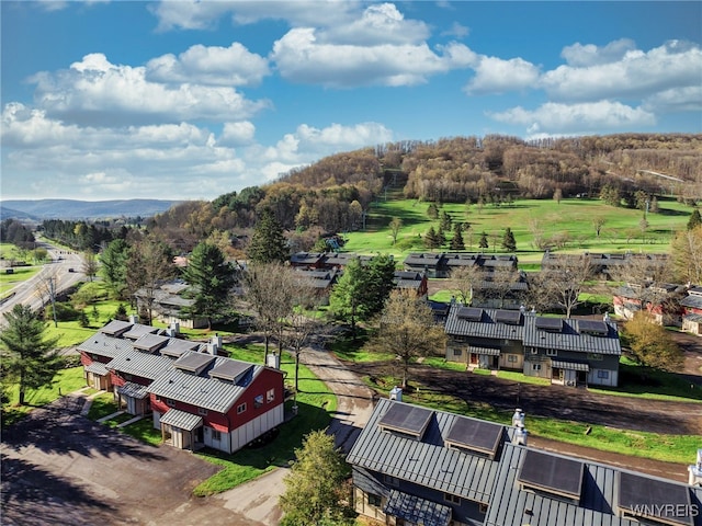 drone / aerial view