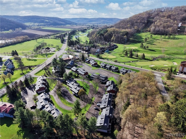 drone / aerial view featuring a mountain view