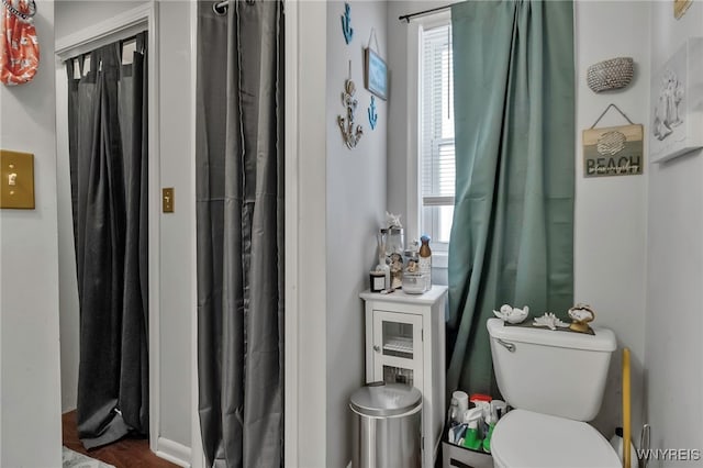 bathroom featuring toilet and plenty of natural light