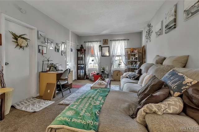 living room with carpet flooring