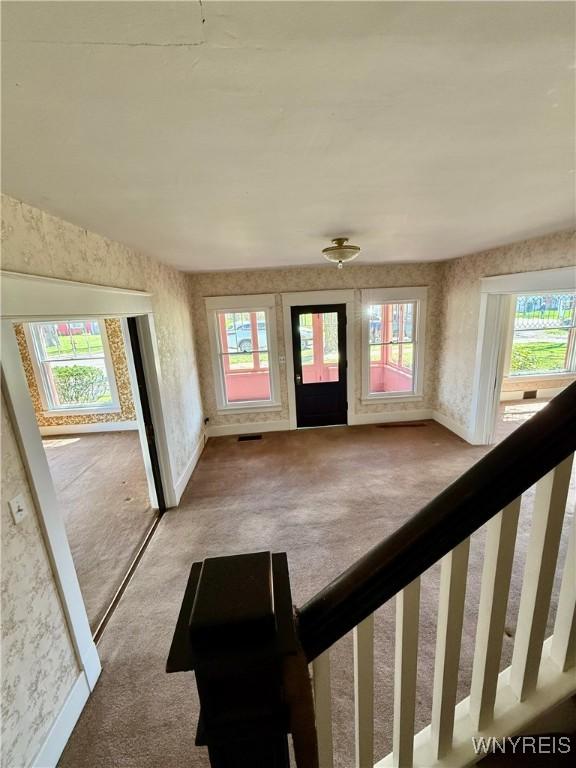 entrance foyer featuring carpet floors and a healthy amount of sunlight