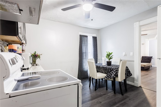 dining space featuring dark wood finished floors, a ceiling fan, and a textured ceiling