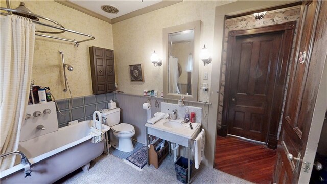 20 S Main St, Sherburne, NY 13460 - full bathroom featuring a sink, toilet, ornamental molding, and wainscoting