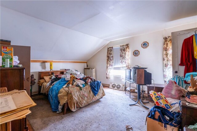 39 Ward St, Little Falls-City, NY 13365 - bedroom with radiator and vaulted ceiling