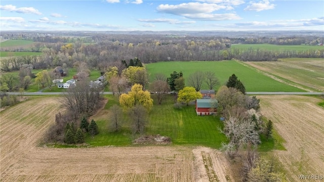 drone / aerial view with a rural view