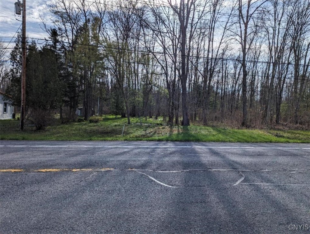 0 Nys Route 13, Vienna, NY 13308 - photo 3