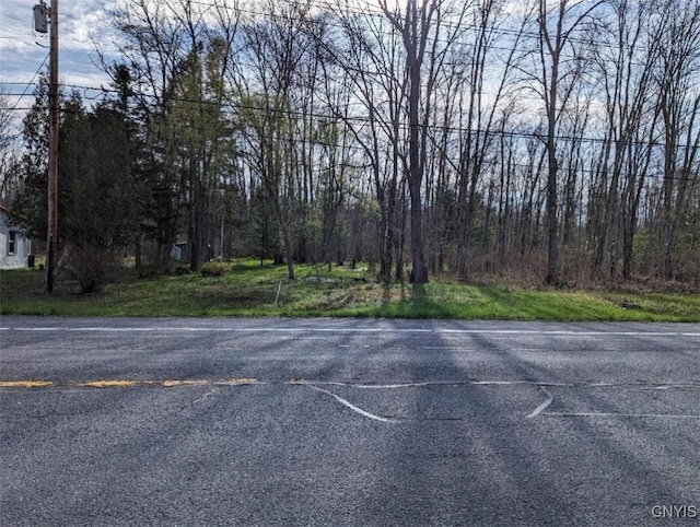 0 Nys Route 13, Vienna, NY 13308 - photo 3