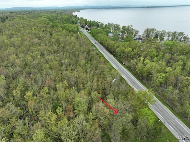 0 Nys Route 13, Vienna, NY 13308 - photo 2