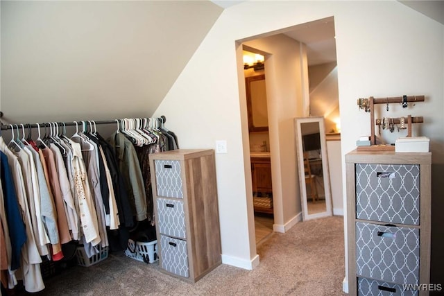 walk in closet with carpet