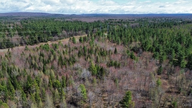 aerial view with a wooded view