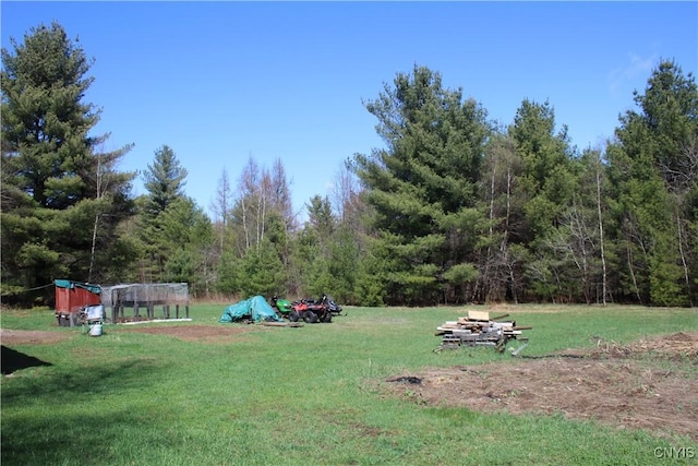 view of yard featuring a view of trees