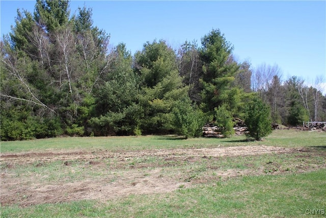 view of yard with a rural view and a view of trees