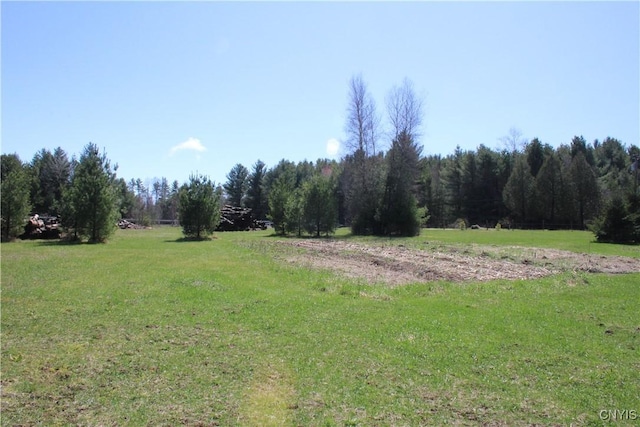 view of yard featuring a rural view