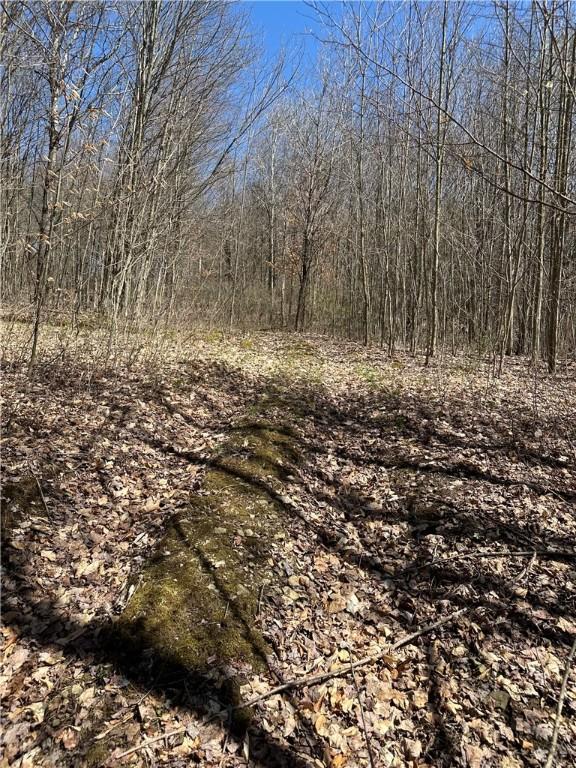 view of local wilderness with a wooded view