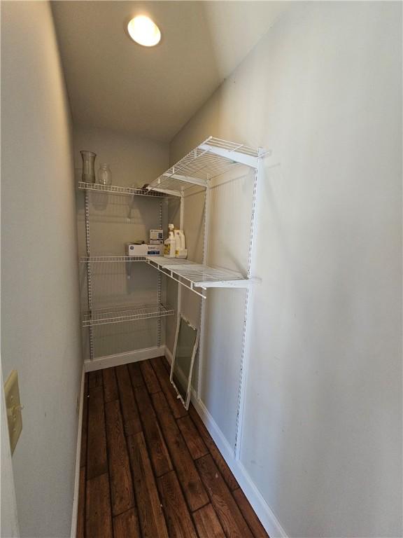spacious closet featuring dark wood-type flooring