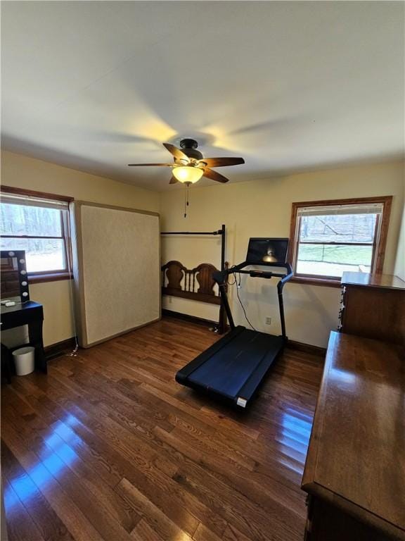 exercise area featuring a healthy amount of sunlight, ceiling fan, dark wood finished floors, and baseboards