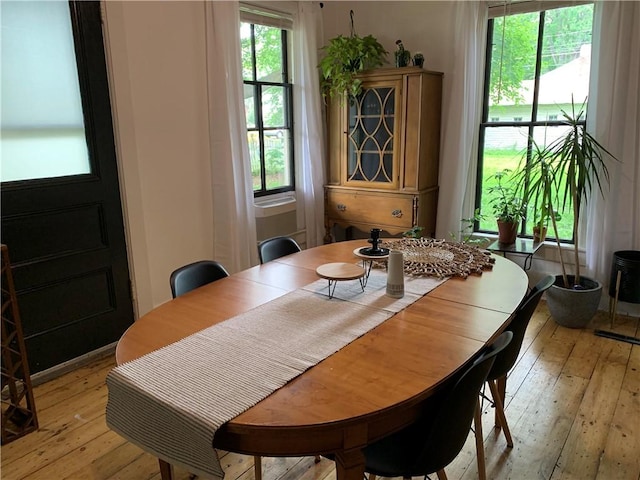 dining room with light wood-type flooring and plenty of natural light