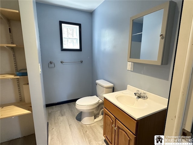 bathroom featuring toilet, vanity, and wood finished floors