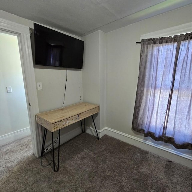 520 Logan St, Elmira-City, NY 14901 - office featuring carpet flooring