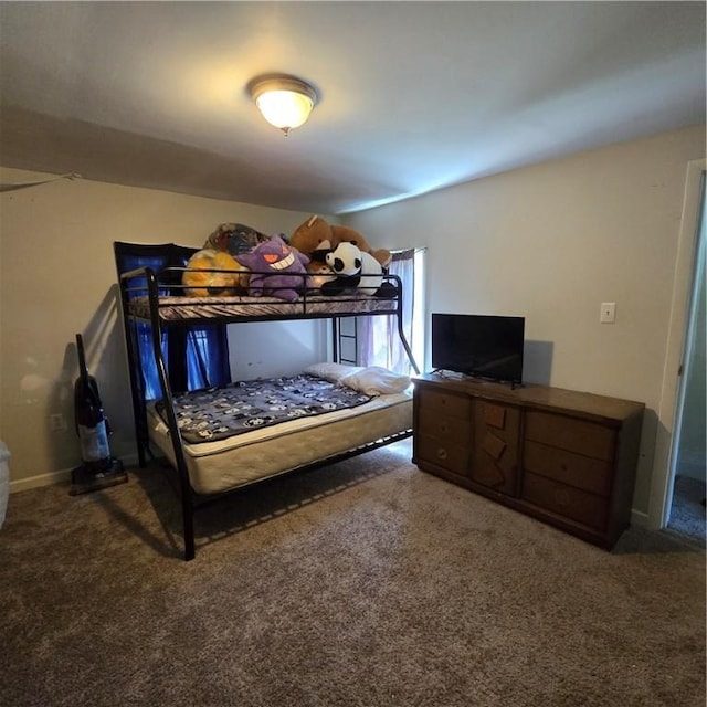 520 Logan St, Elmira-City, NY 14901 - bedroom with carpet floors