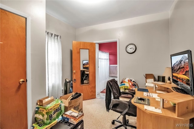 office featuring carpet floors