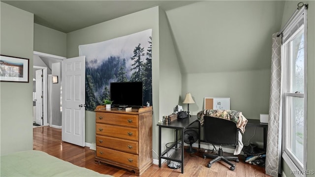 bedroom featuring multiple windows and wood finished floors