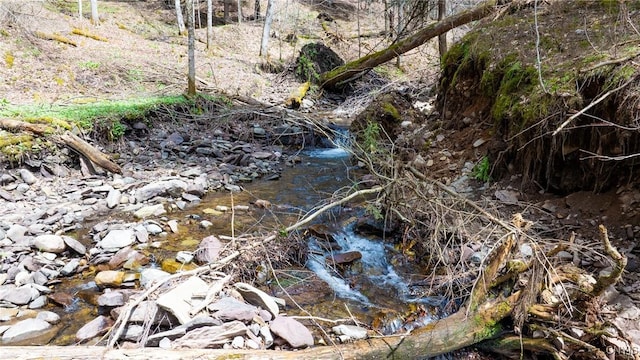 11188 Westdale Rd Unit 6, Florence, NY 13483 - view of local wilderness