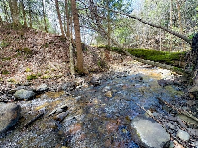 11188 Westdale Rd Unit 6, Florence, NY 13483 - view of nature