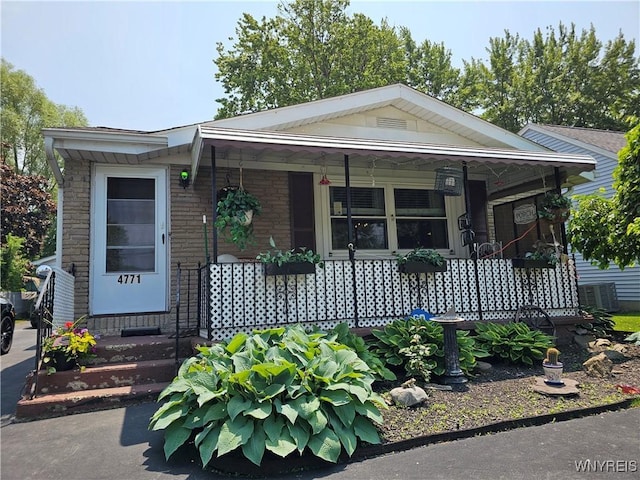 4771 Lake Shore Rd, Hamburg, NY 14075 - photo 1