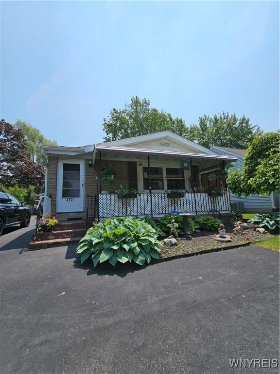 4771 Lake Shore Rd, Hamburg, NY 14075 - photo 5