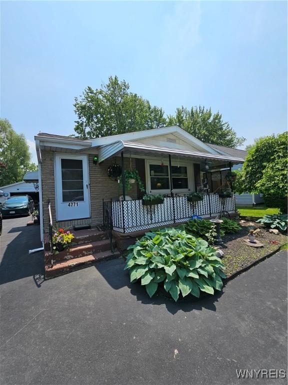 4771 Lake Shore Rd, Hamburg, NY 14075 - photo 6